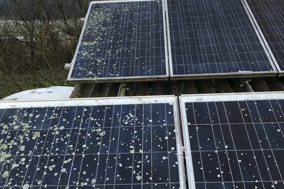 Photovoltaik-Reinigung — Referenzprojekt in Bayreuth