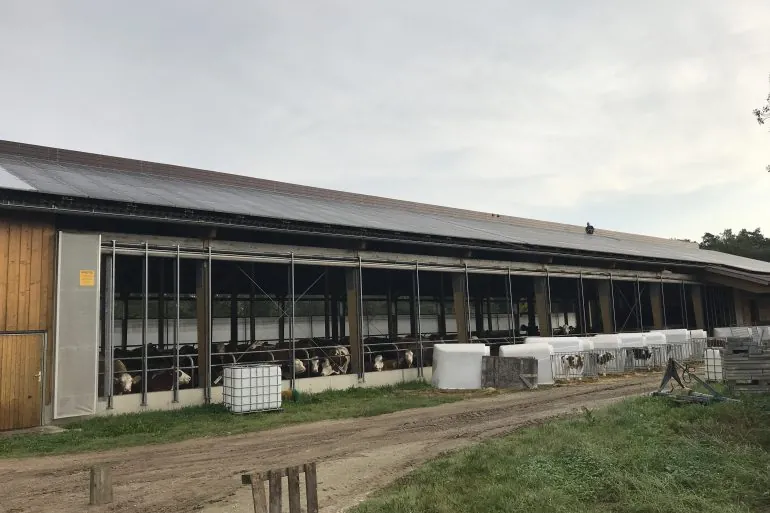 Photovoltaik-Reinigung mit Teleskopstange