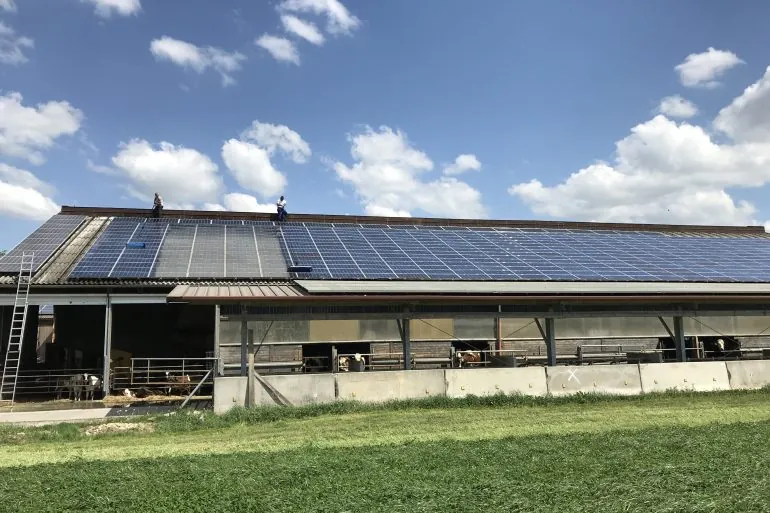 Fachgerechte Reinigung schützt die Solaranlage